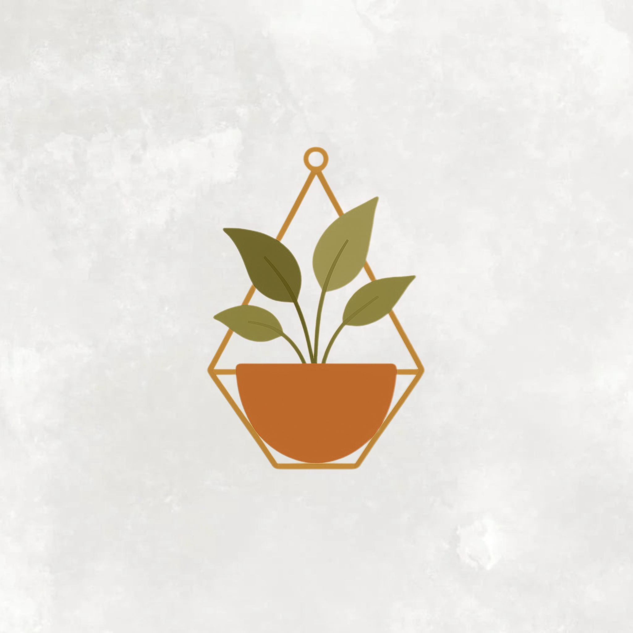 Plants decore lovers