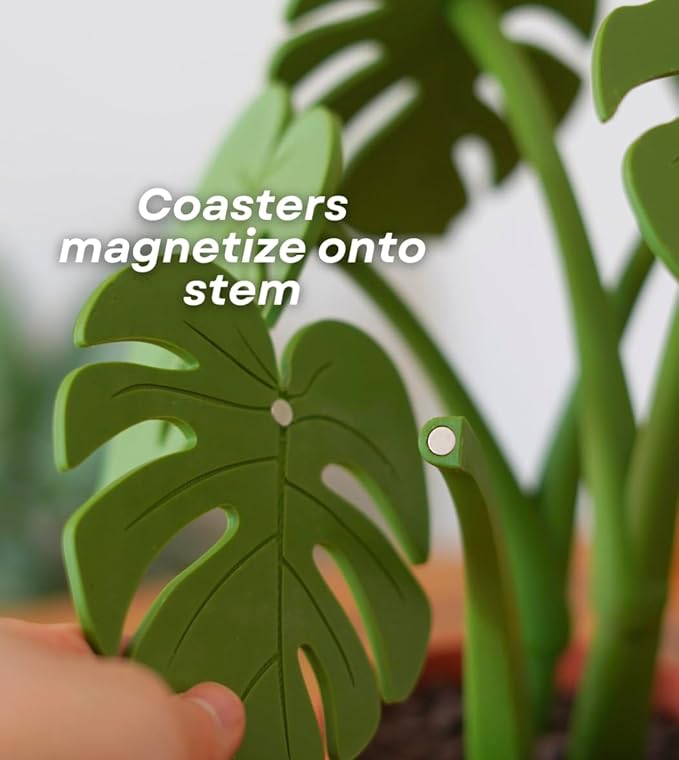 Monstera Plant Coaster Set