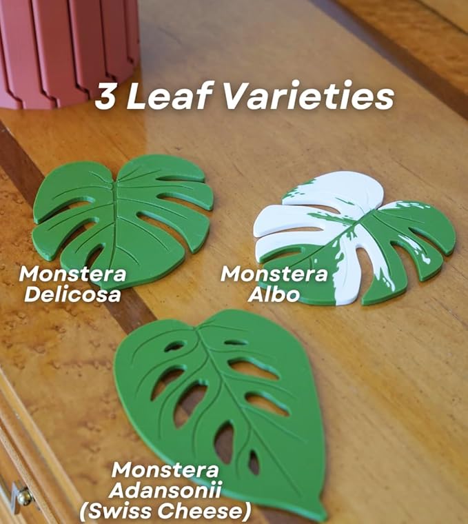 Monstera Plant Coaster Set