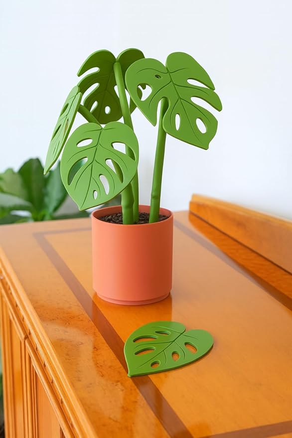 Monstera Plant Coaster Set