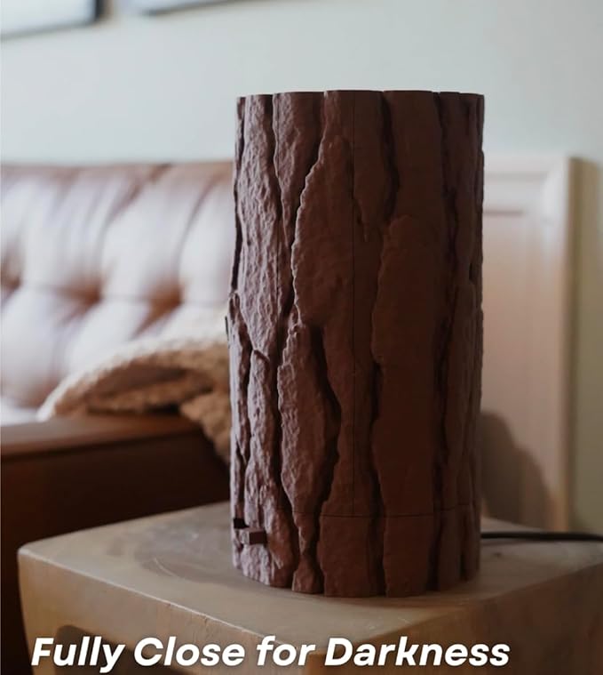 Lantern Log