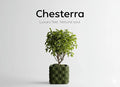 Chesterra Tufted Plant Pot