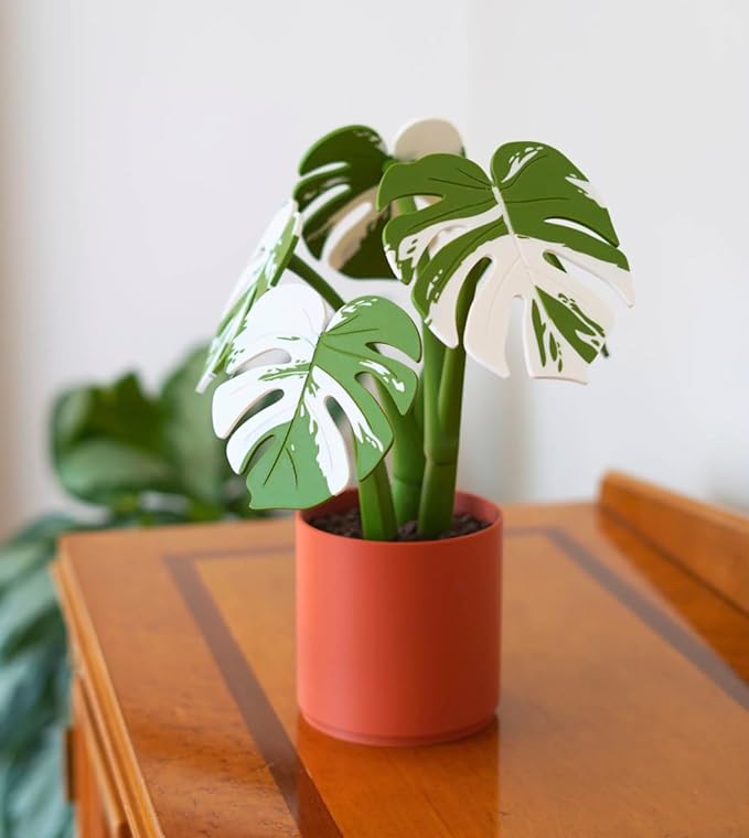 Monstera Plant Coaster Set