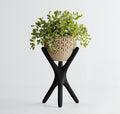 Triova Modern Plant Pot