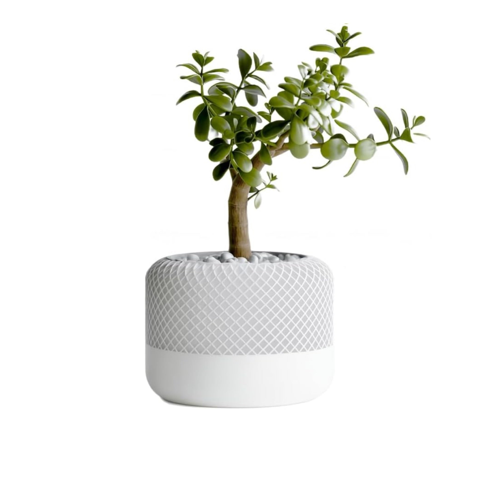 HomePod Style Plant Pot and Vase