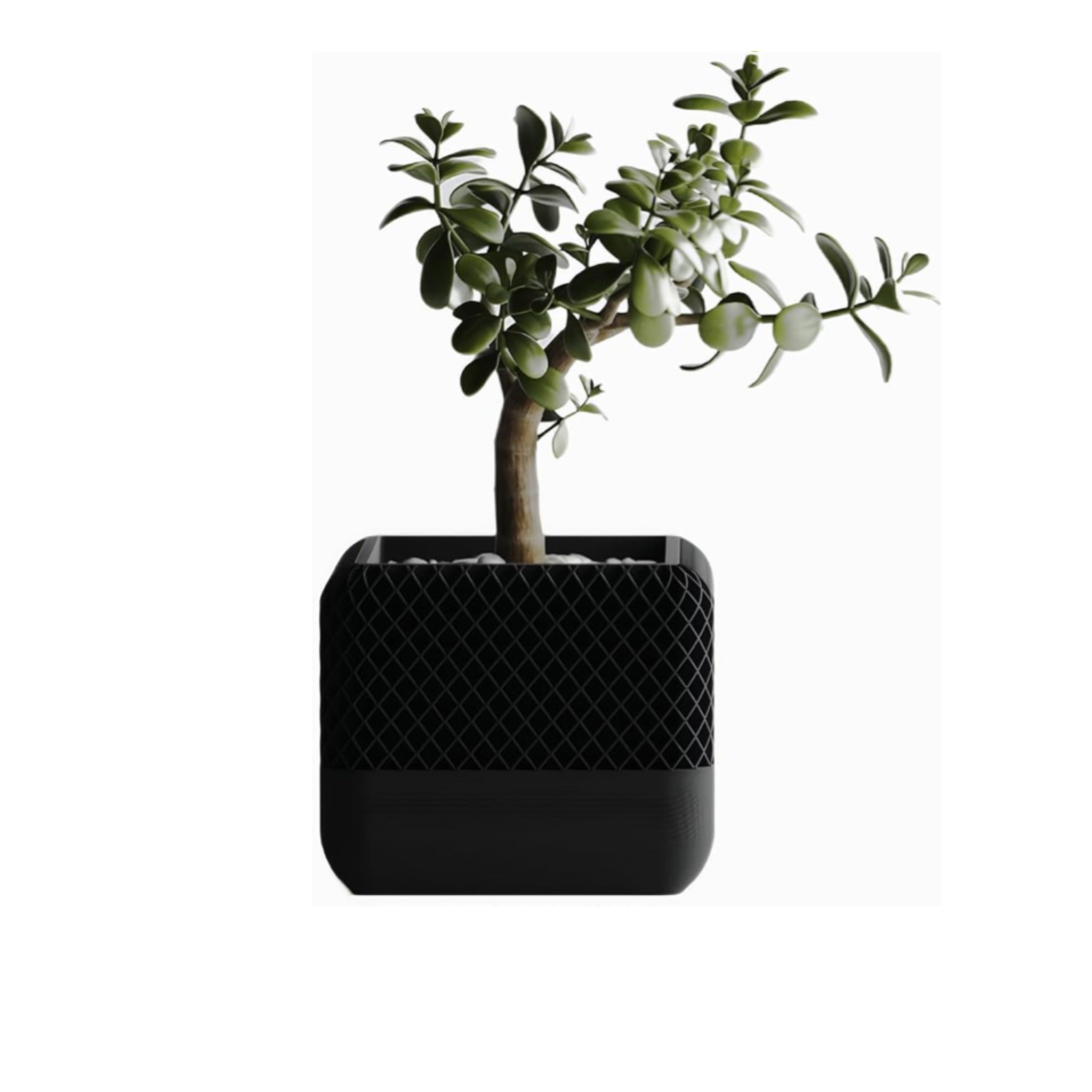 HomePod Style Plant Pot and Vase