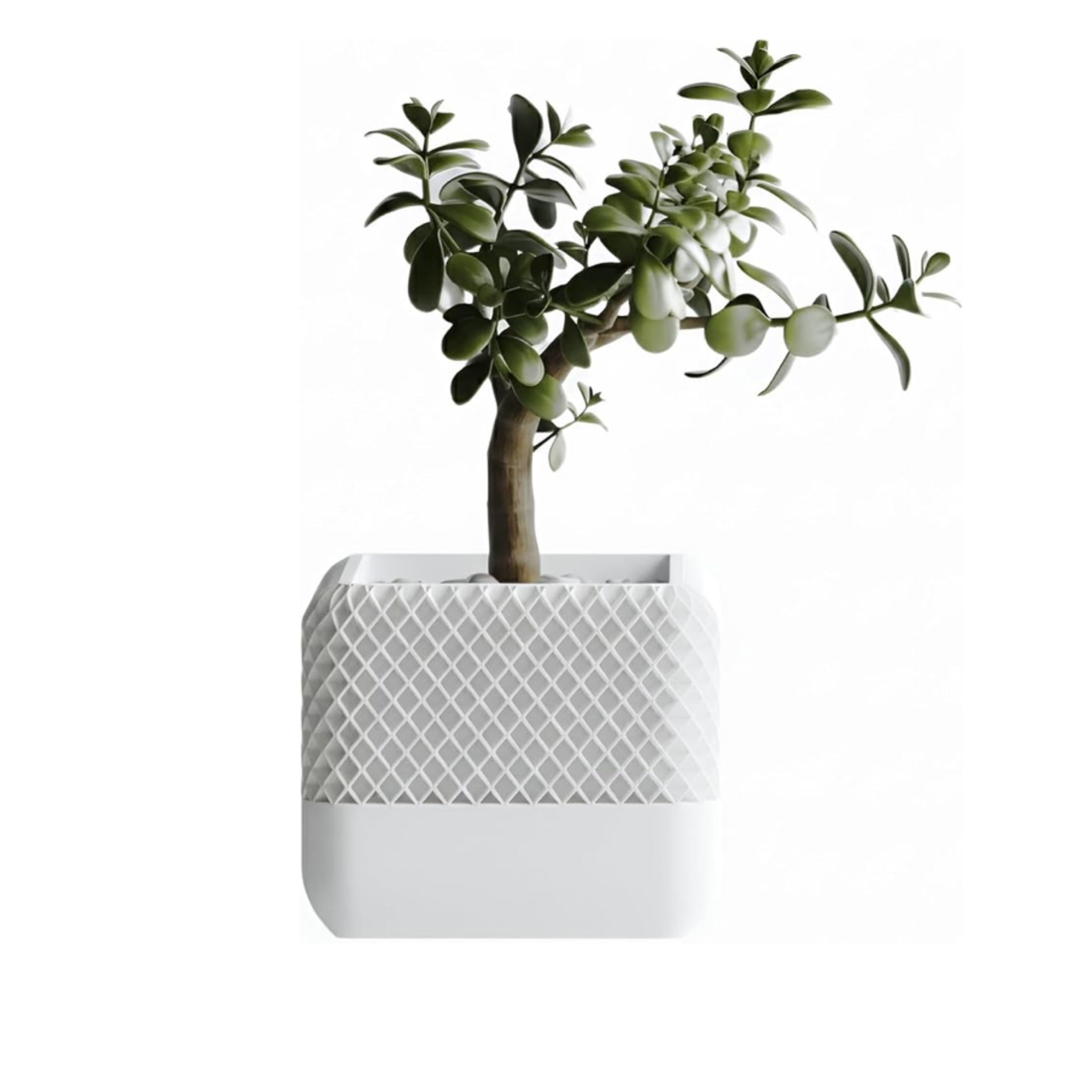 HomePod Style Plant Pot and Vase