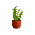 Lily of The Valley Night Light Flower Lamp